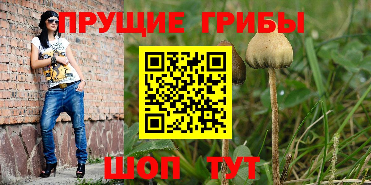 Псилоцибиновые грибы мицелий  где продают   Анжеро-Судженск  Вход с VPN 