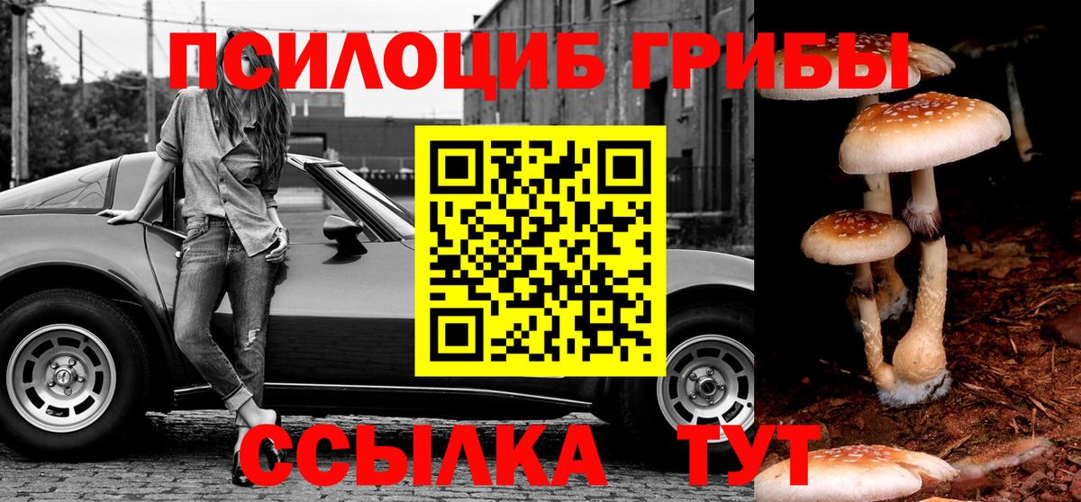 ТГК Анжеро-Судженск